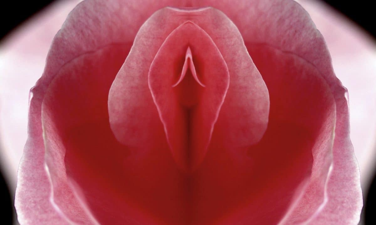 Vagina-Spa: 5 einfache Treatments, um deine Vulva zu verwöhnen