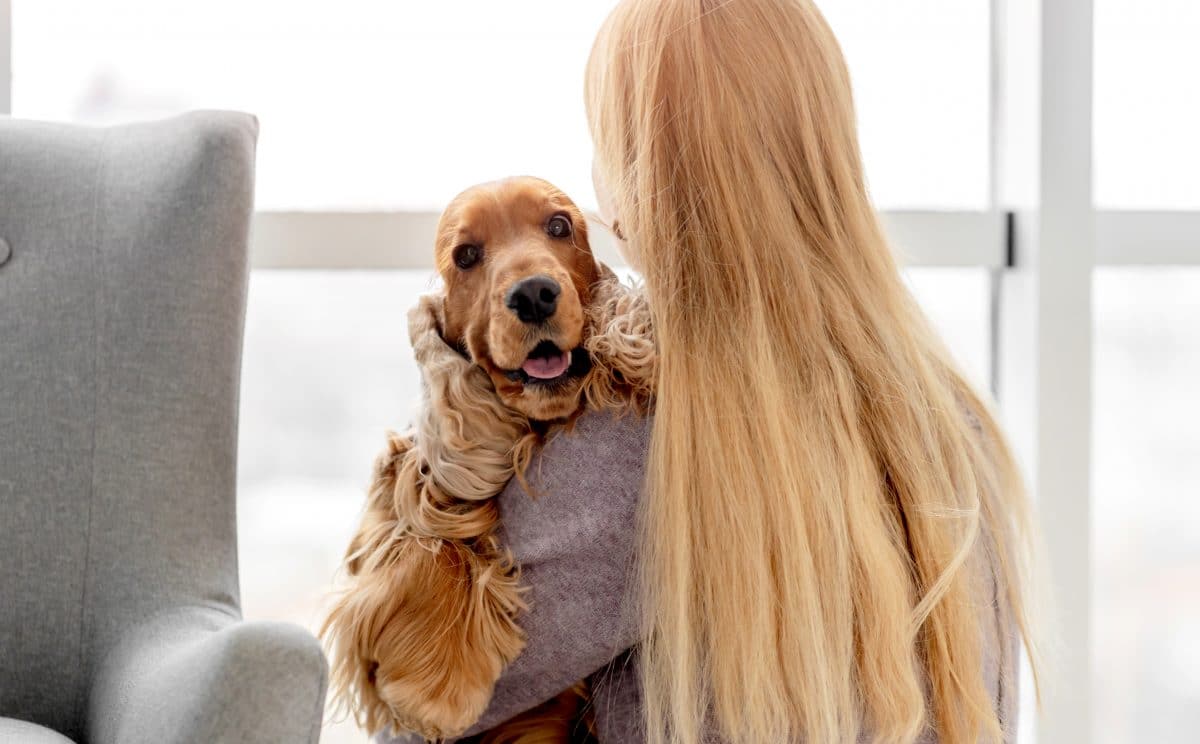 Video: Entführter Hund wird nach acht Jahren wieder mit Familie vereint