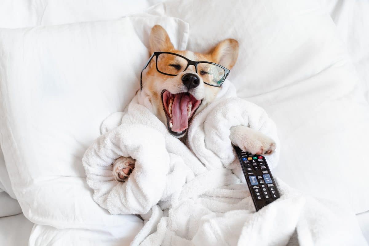 Studie bestätigt: Fernsehen kann für besseren Schlaf sorgen