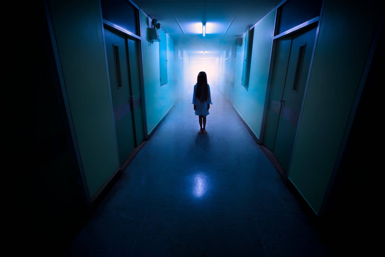 Hostel: Folter Horror Geht In Serie: Der Horror, Der Wirklich Passiert Ist? Streaming Enthüllung! - f8ar39g
