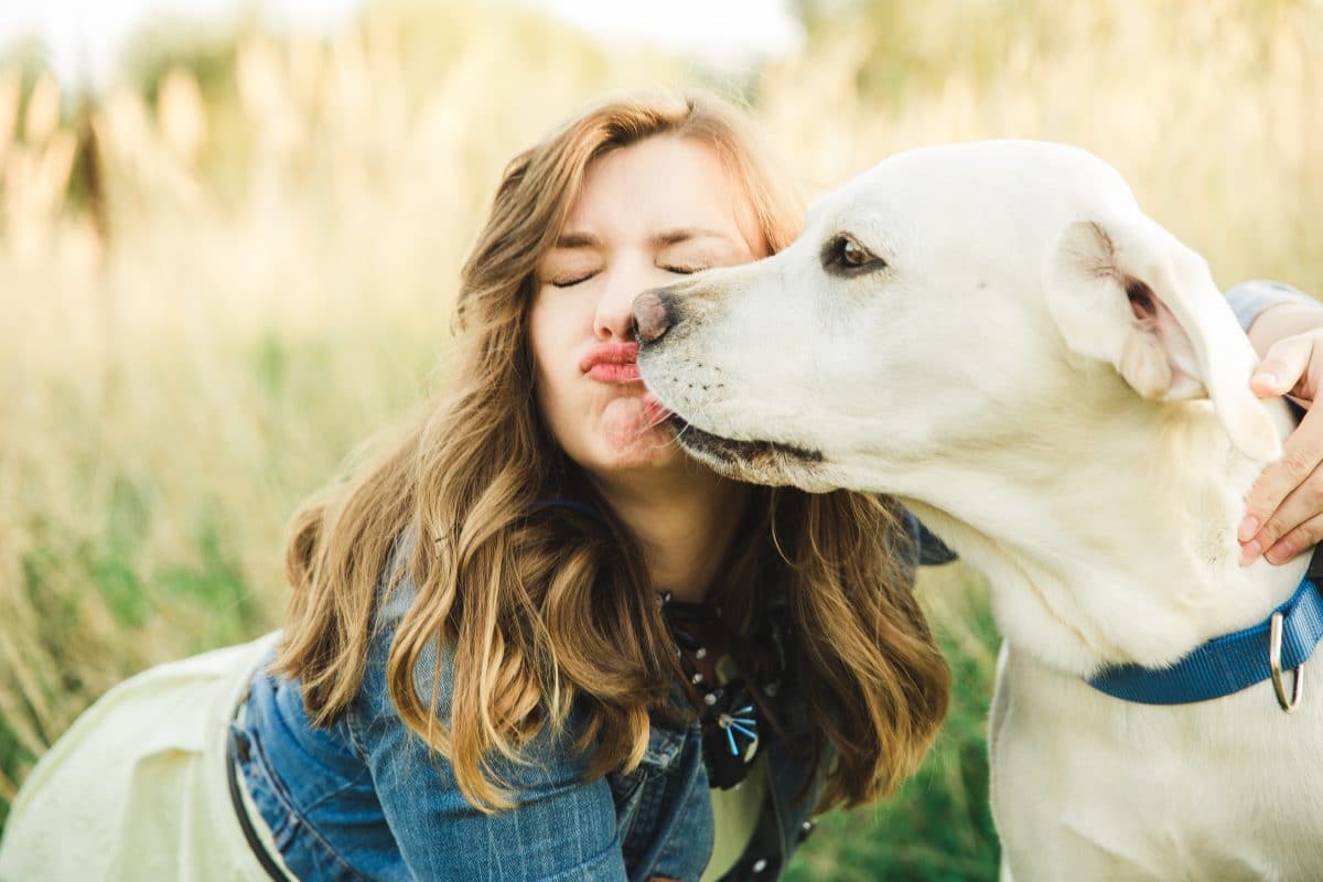 Experten warnen: Deshalb sollten eure Hunde euch nie abschlecken