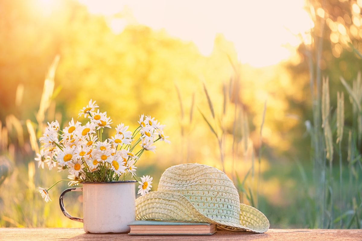 Diese Bücher versüßen euch garantiert den Sommer