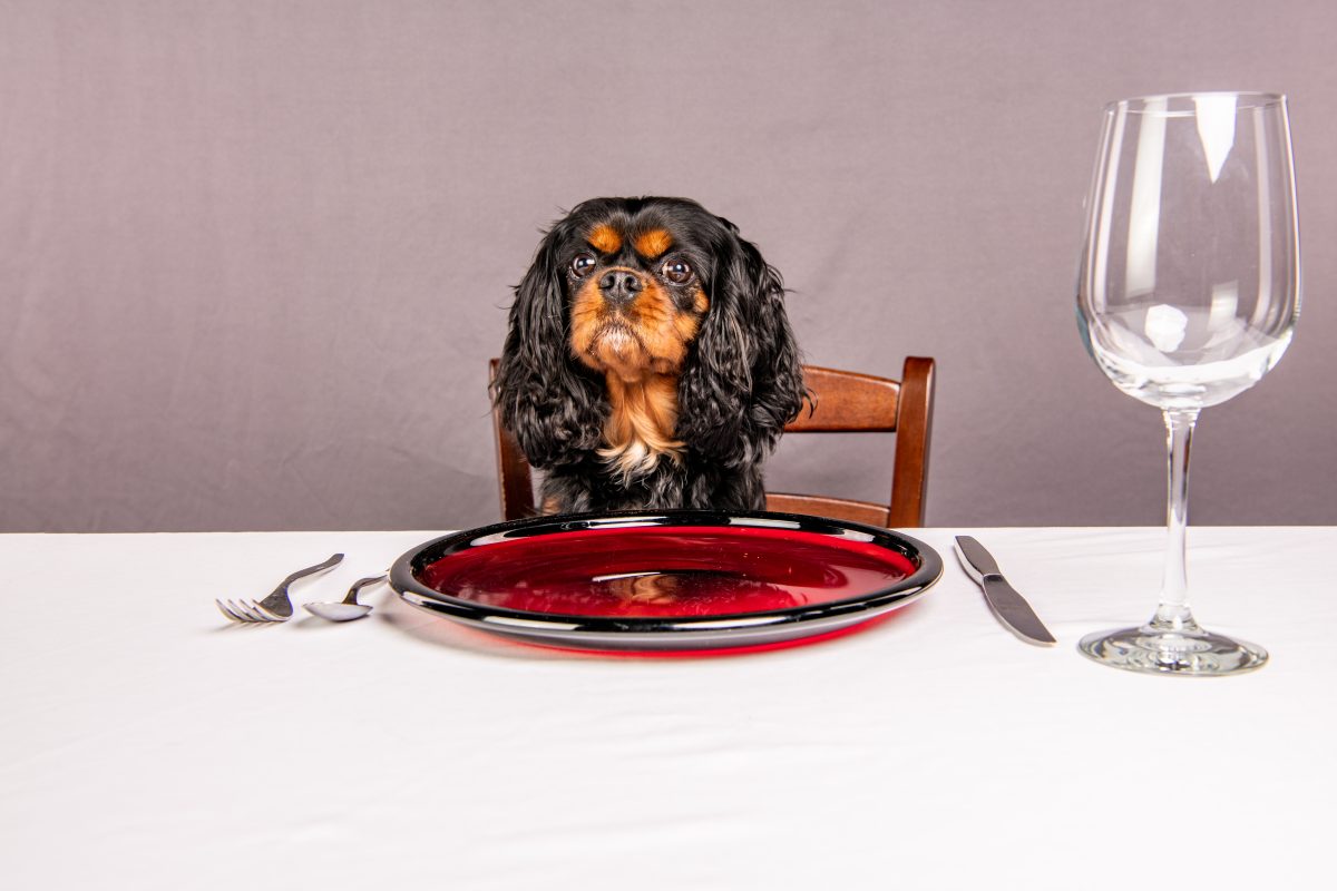 „Hangry“ gibt es wirklich: Eine Studie bestätigt, dass Hunger wütend macht