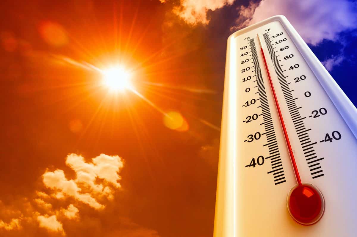 Hitzewelle in Europa: Temperaturen von über 40 Grad erwartet