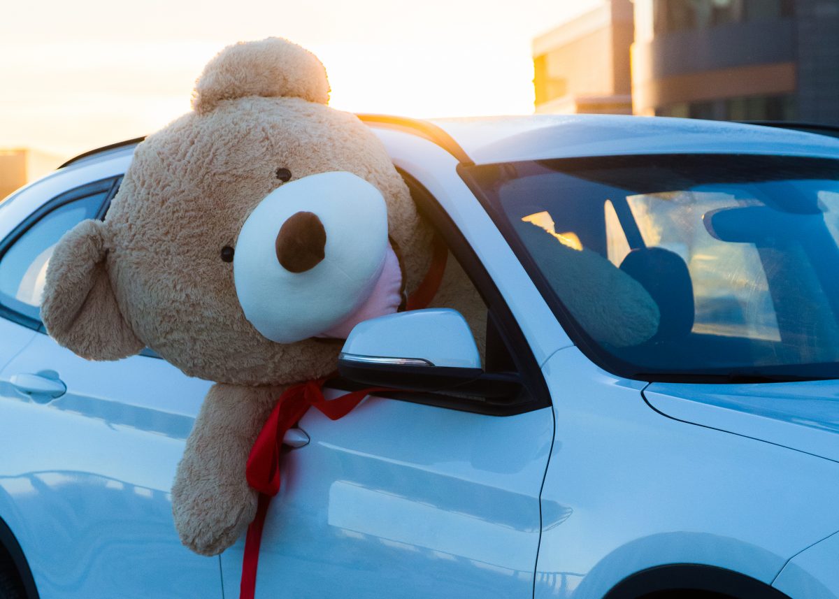 England: Autodieb versteckt sich in riesigem Teddybär
