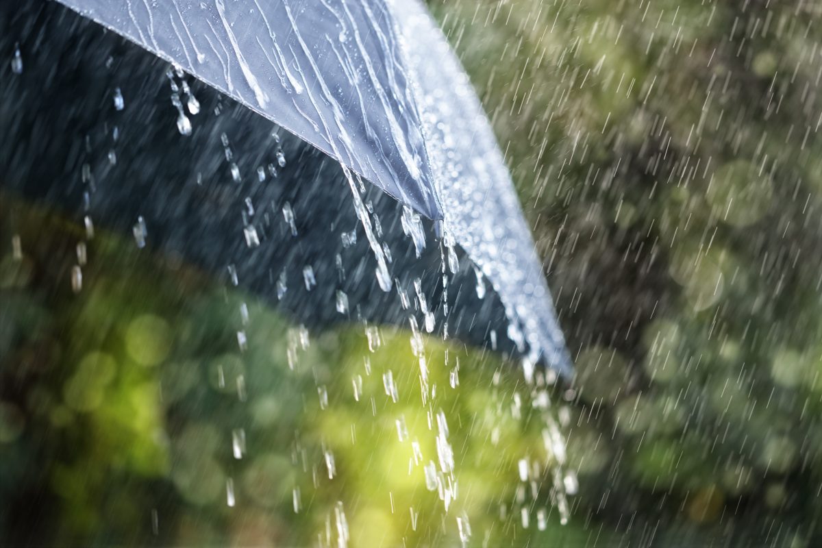 Deshalb solltet ihr nie Regenwasser trinken