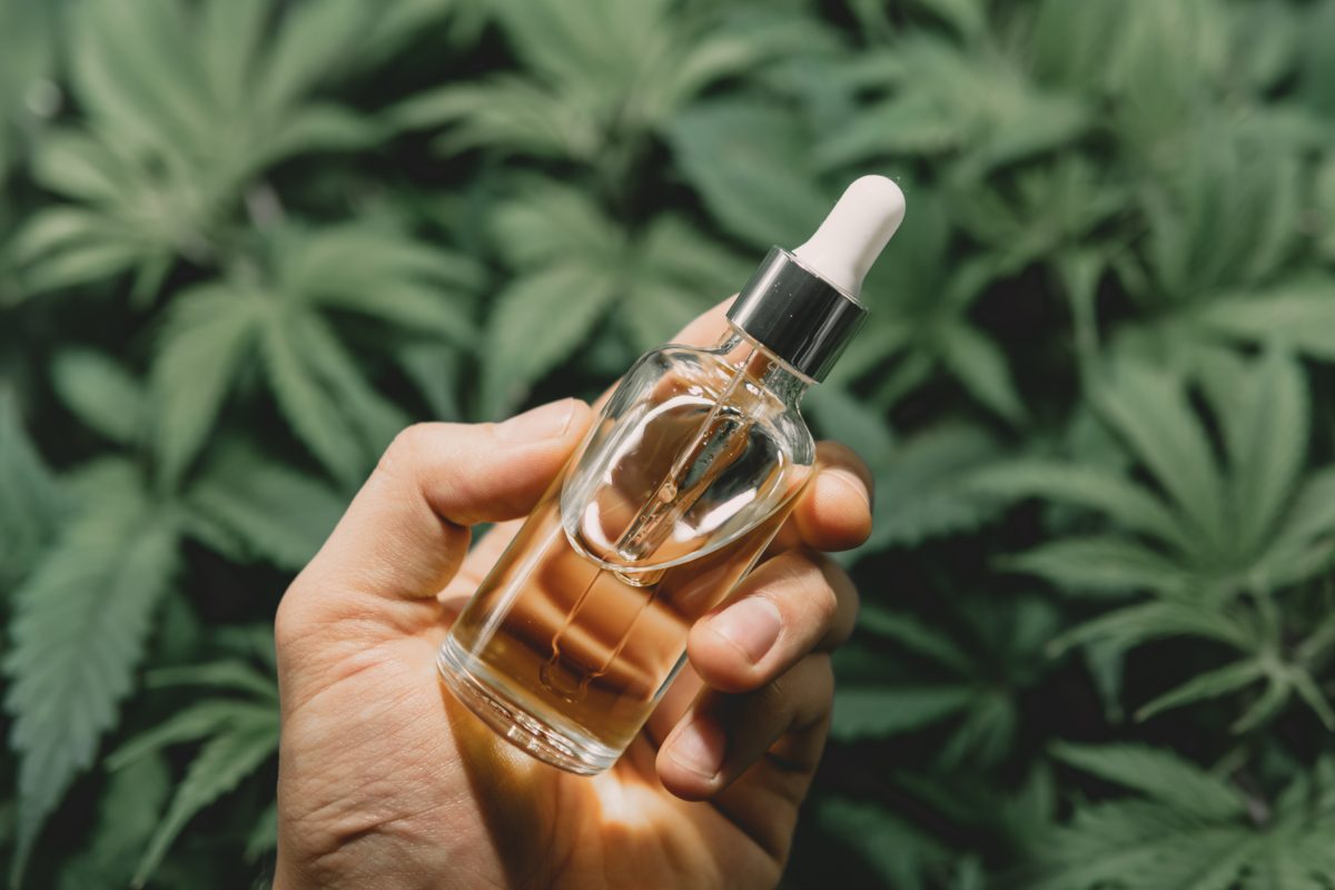 CBD Öl: Das solltet ihr über das Trendprodukt wissen