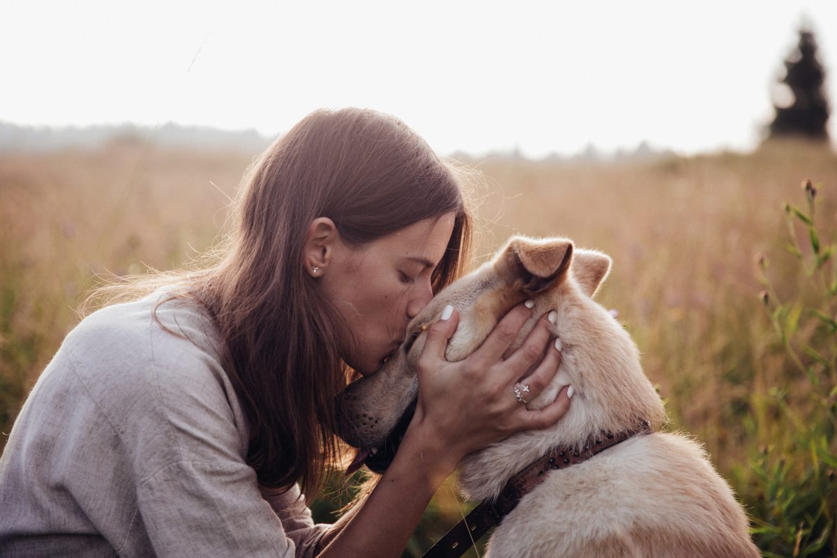 Studie beweist: Hunde können Stress bei Menschen erschnüffeln