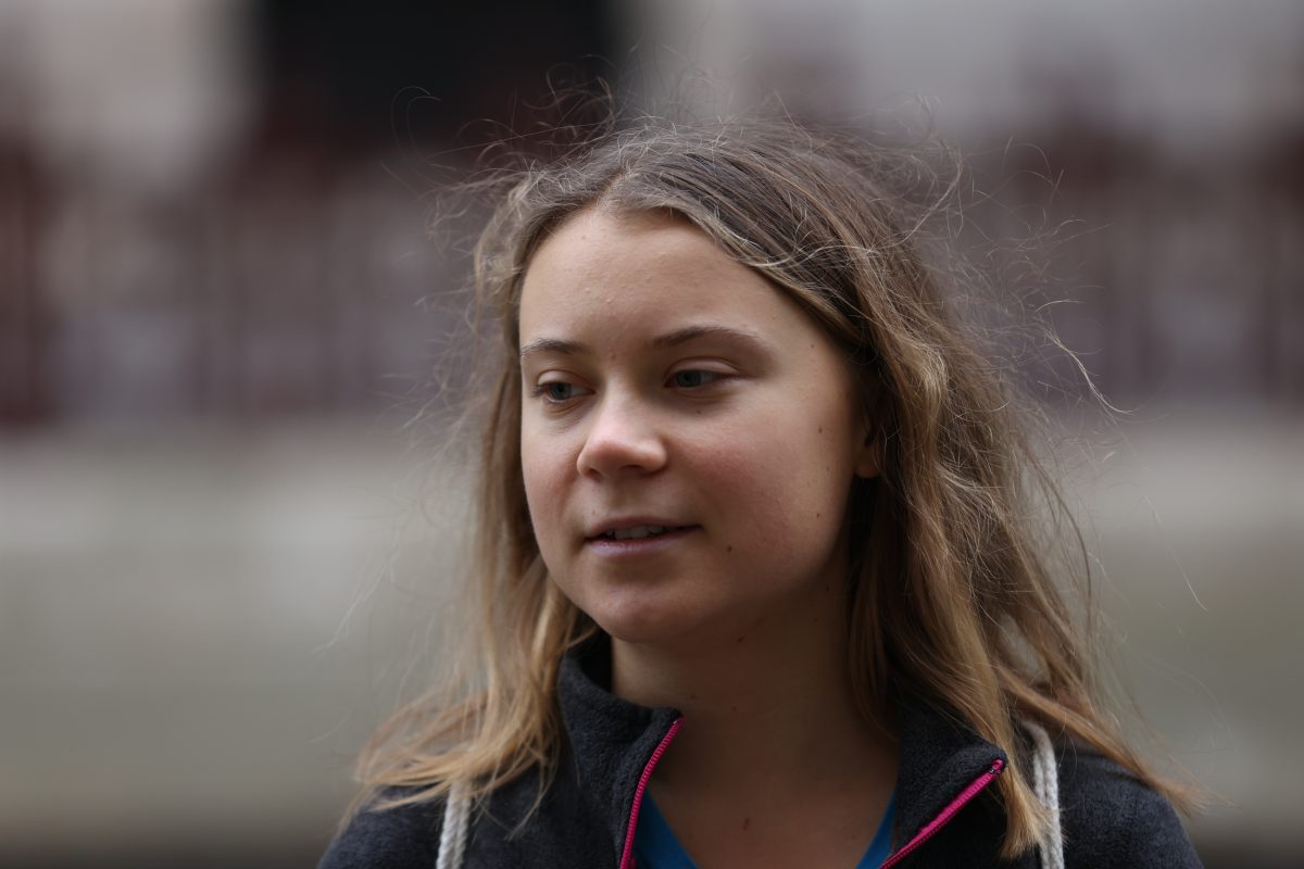 Nach Twitter-Duell mit Greta Thunberg: Andrew Tate in Rumänien festgenommen