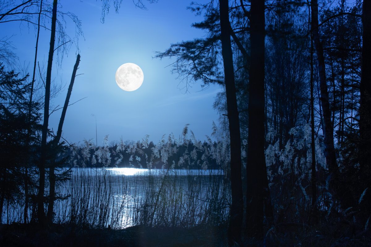 Auf diese Sternzeichen hat der Vollmond am 8. Dezember besonders großen Einfluss