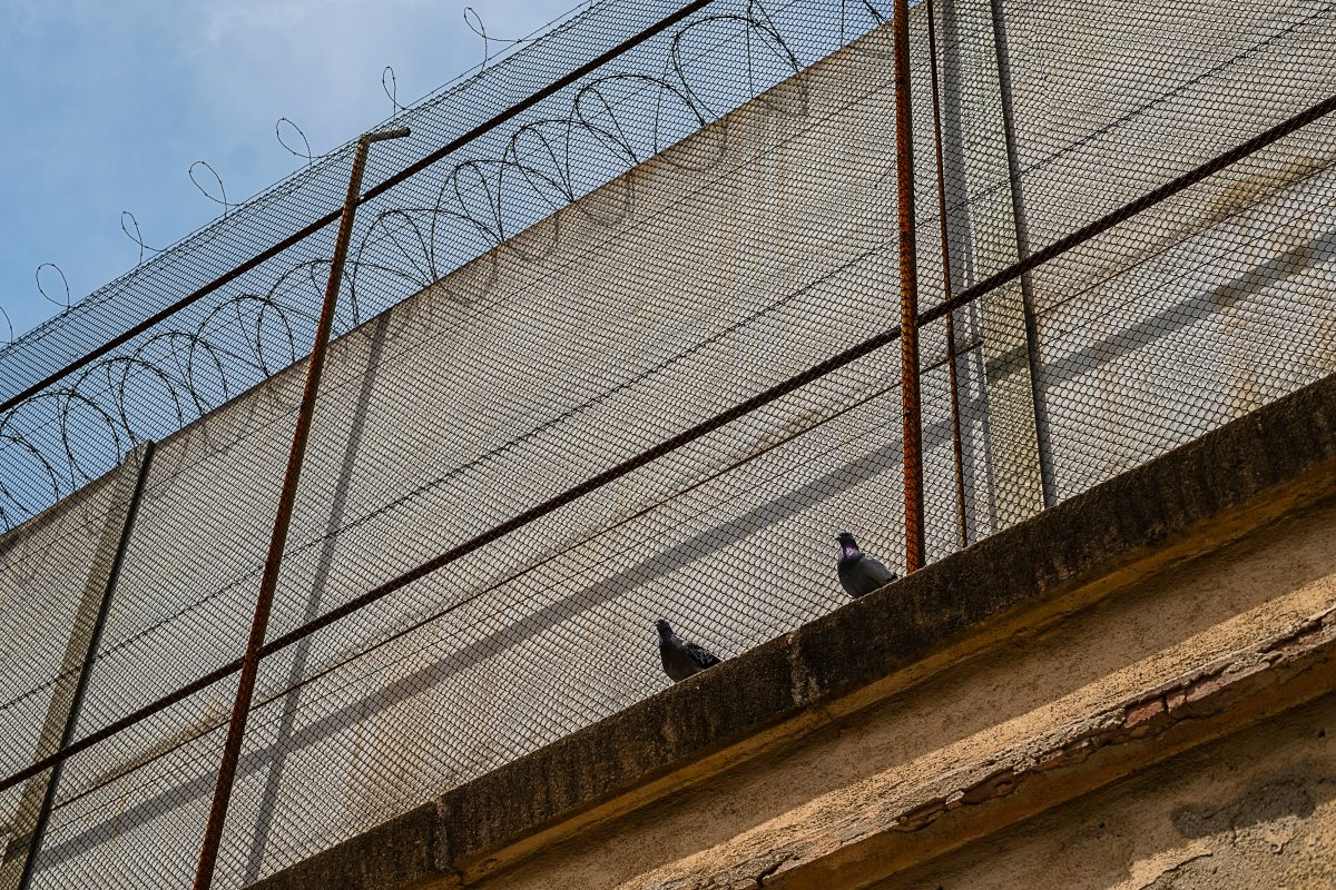 Gefängniswärter fangen Taube mit Rucksack voller Drogen
