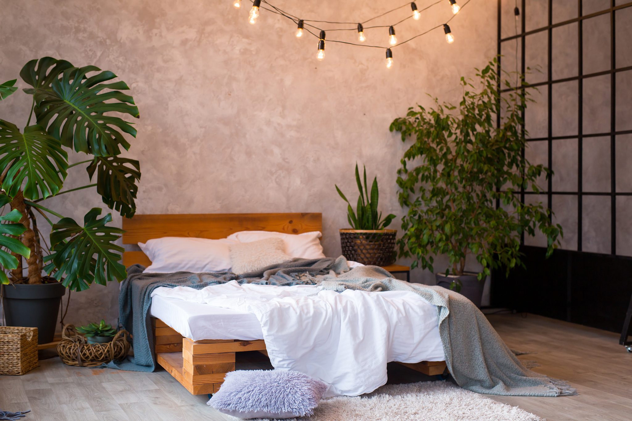 Diese-3-Zimmerpflanzen-berleben-auch-bei-wenig-Licht-in-der-Wohnung