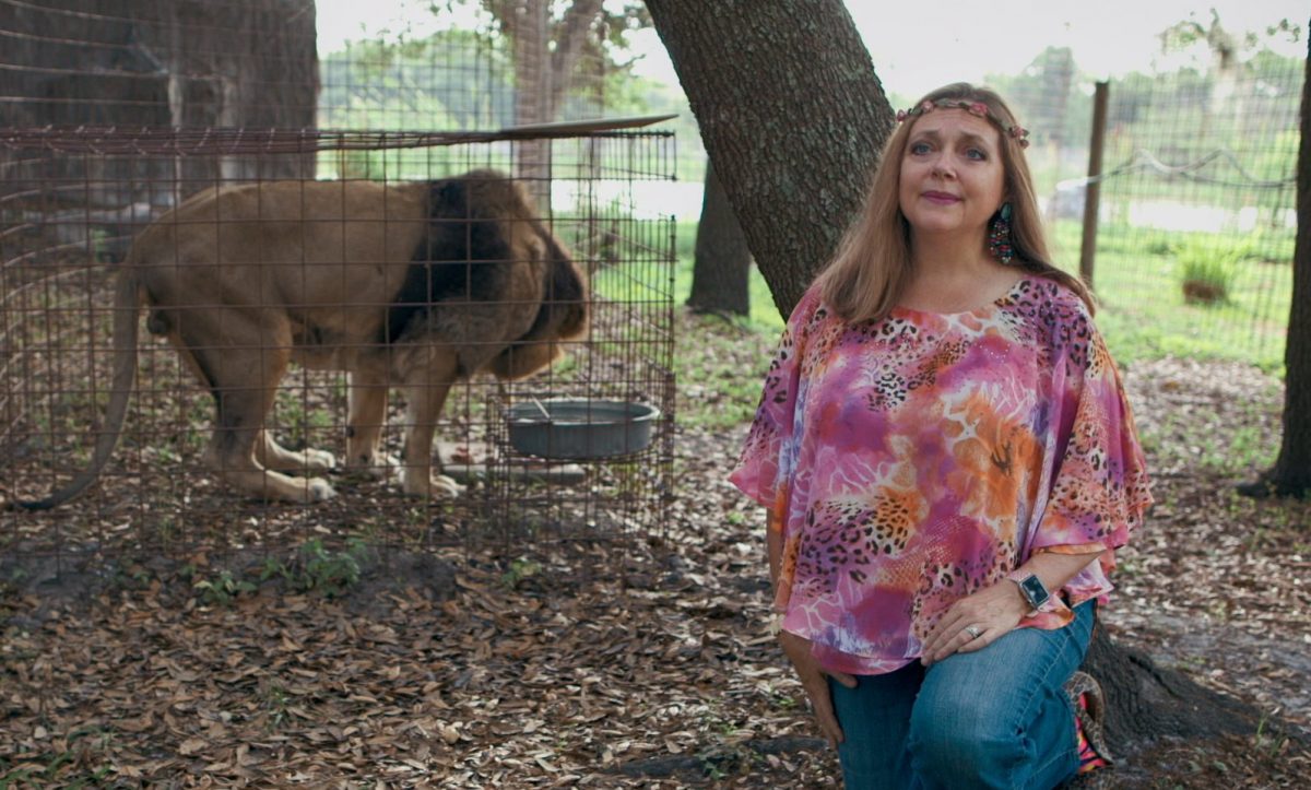 Virales Interview zu „Tiger King“: Wurde der Mann von Carole Baskin lebend gefunden? Virales Interview zu „Tiger King“: Wurde der Mann von Carole Baskin lebend gefunden?