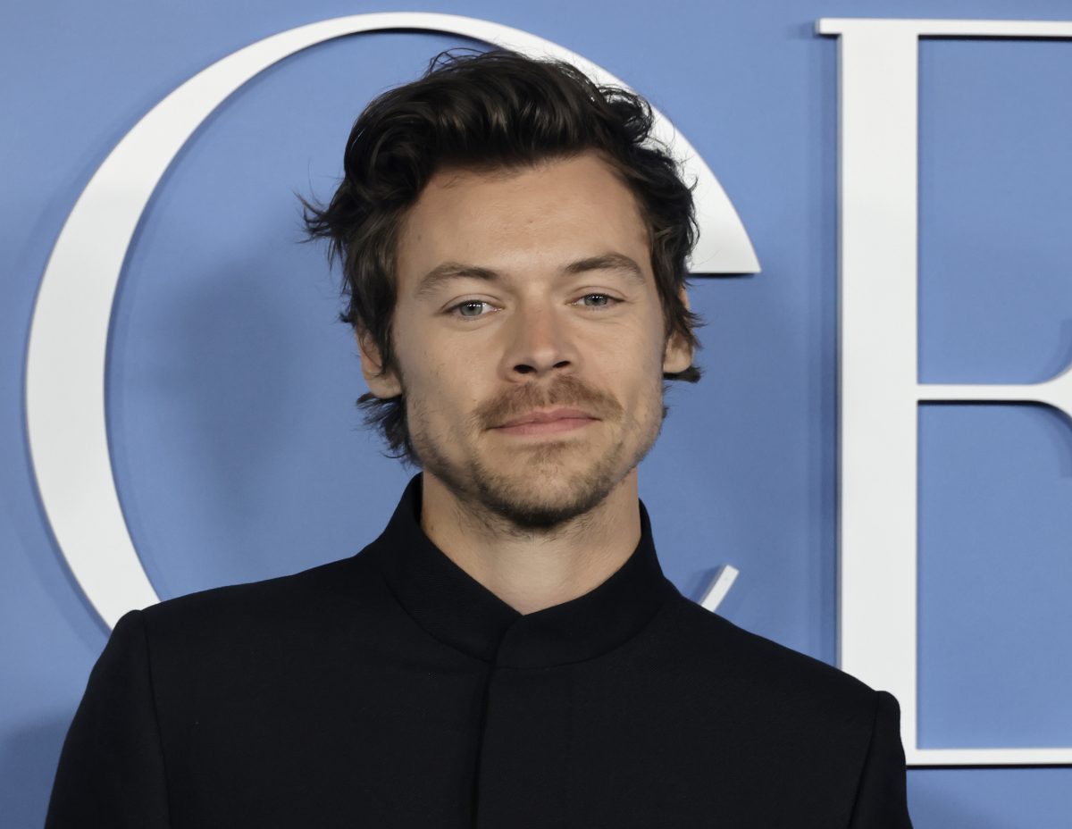 Heimatort von Harry Styles sucht Superfans für neue Jobs