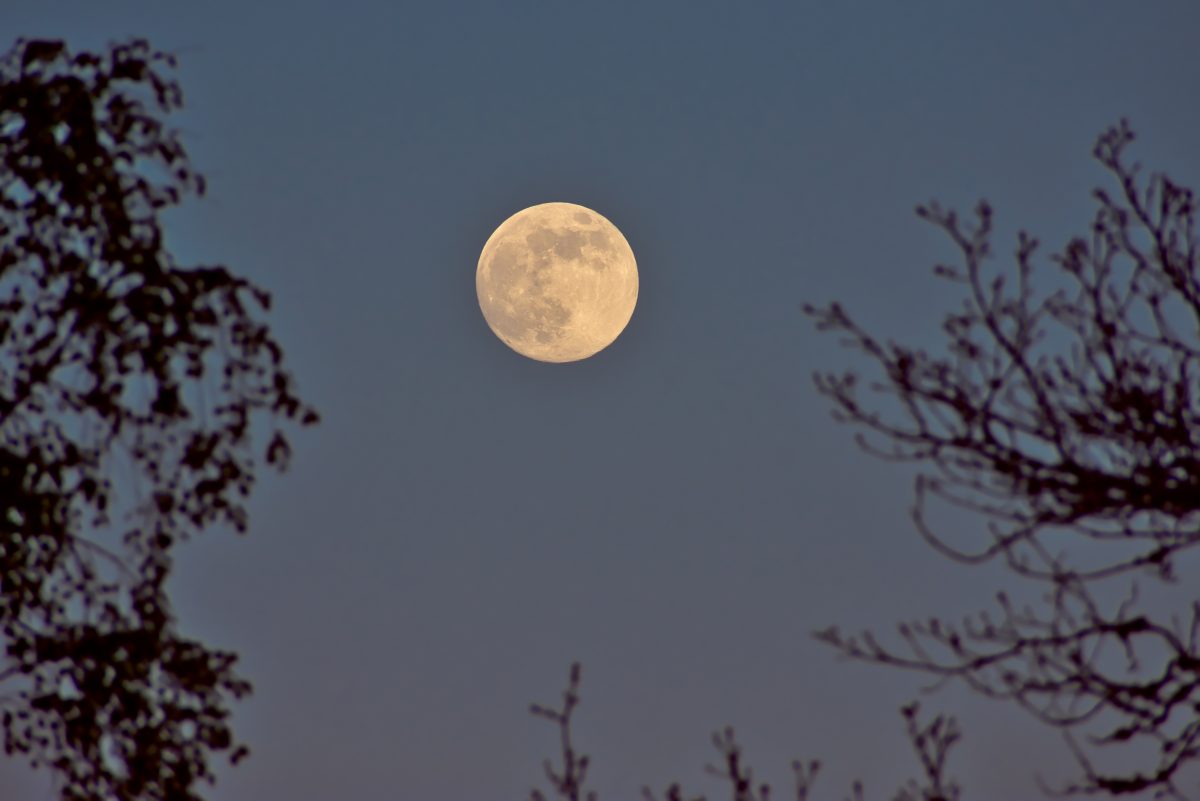 Diesen Sternzeichen bringt der Vollmond im März große Veränderungen