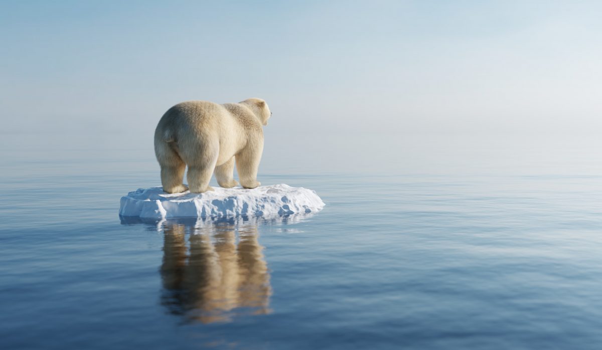 Faktencheck Klimawandel: Was hat sich in den letzten Jahren getan?