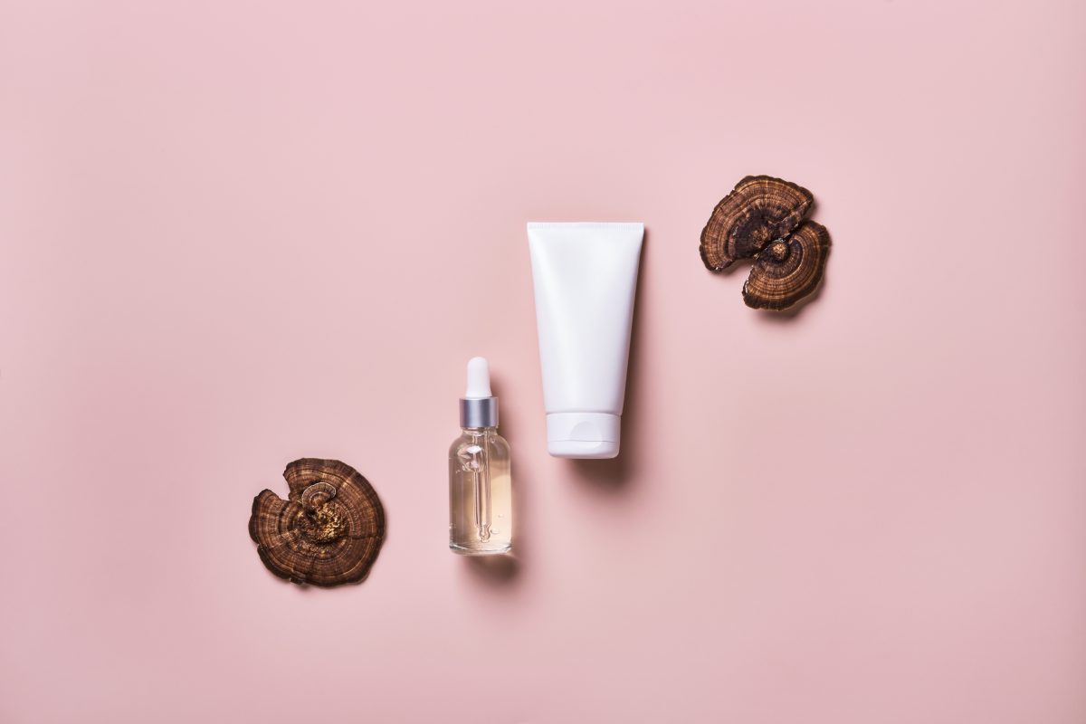 Mushroom Beauty: Deshalb erobern Pilze jetzt unser Skincare-Regal