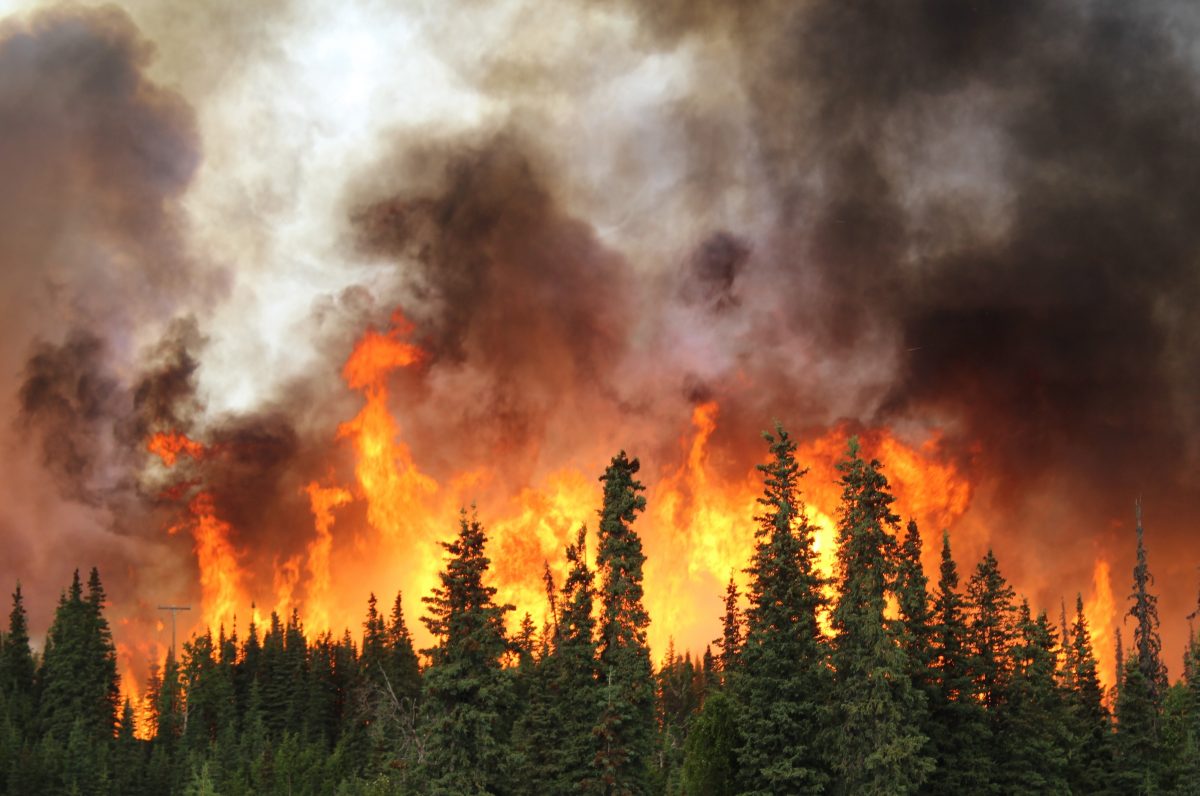 Pariser Klimaziele nicht mehr erreichbar: Vereinte Nationen sind besorgt