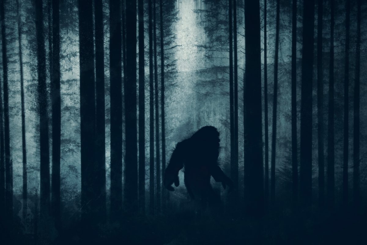 Bigfoot gesichtet? Virales Video sorgt für Aufregung im Netz