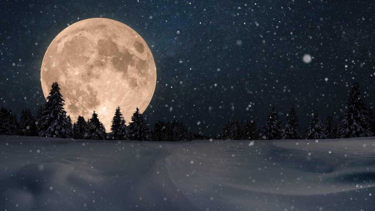 Diese Sternzeichen kommen durch den Dezember-Vollmond zu einer wichtigen Erkenntnis