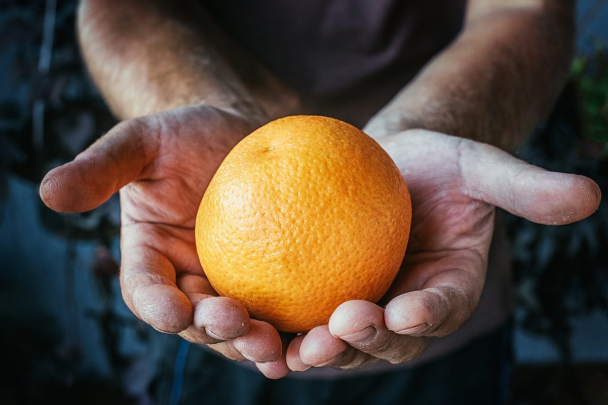 Orange Peel Theory: Hat Social Media den Test für wahre Liebe gefunden?