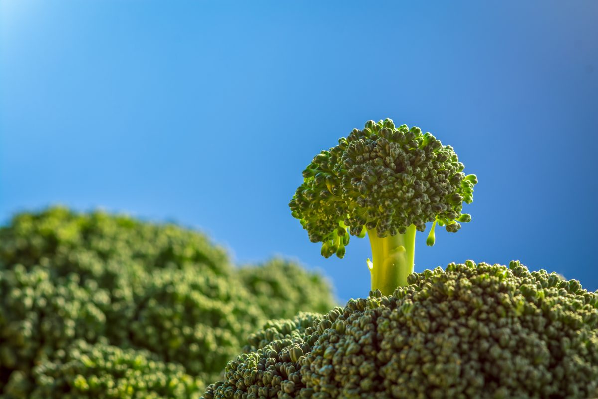 „Broccoli Freckles“: Bei diesem Tiktok-Beauty-Hack zaubert man jetzt Sommersprossen mit Brokkoli