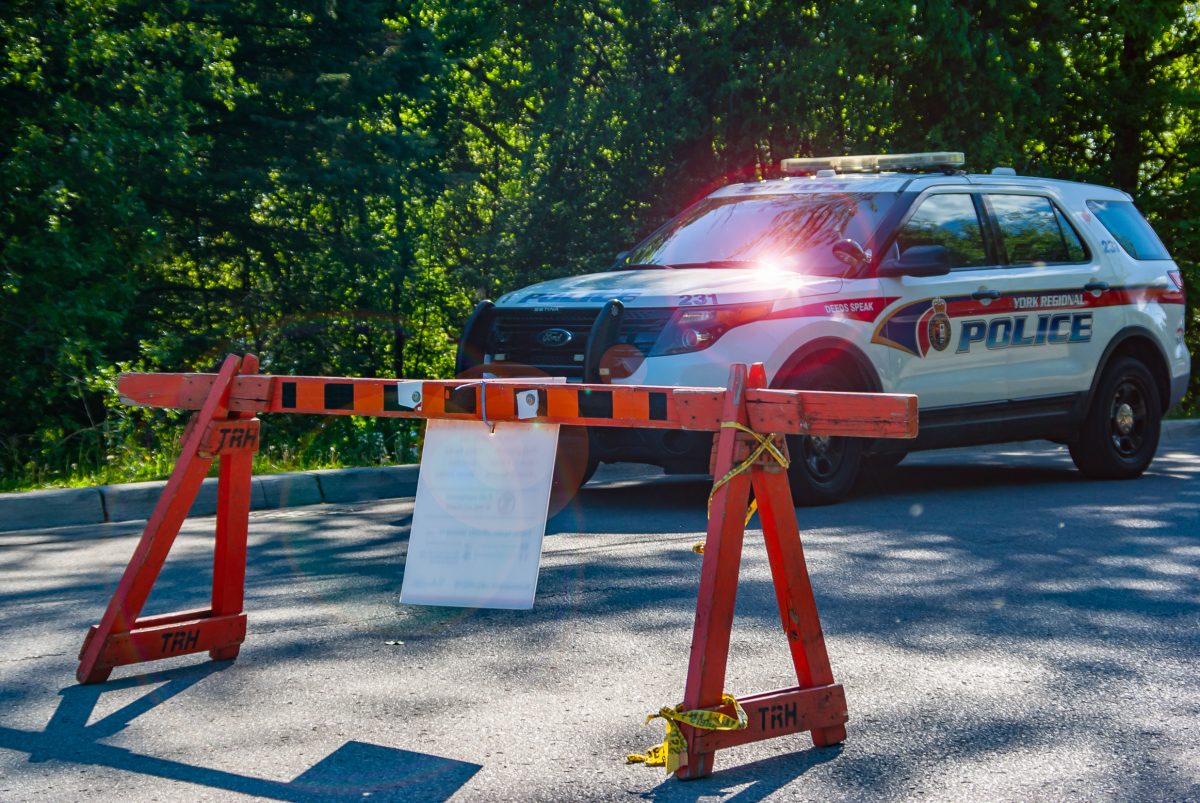 Milliardärin rollt mit ihrem Tesla in Teich und ertrinkt